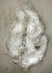 Alleinzuhause Das Auge findet die Art. Pic 3