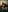 Staicyjanemcfly Effeuillage en douceur Pic 3