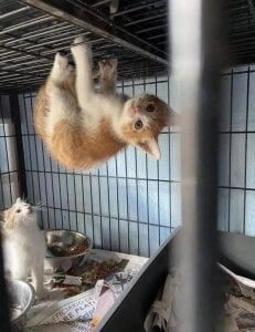 Mimi_Sexy08You ah🤣 You're so cool! Bild