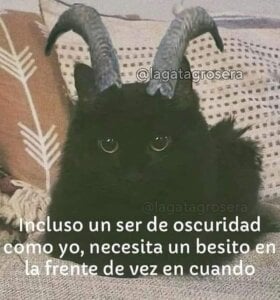 -Imsam- Public Pic 2