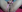 Kaissy_dollyGrr照片 9
