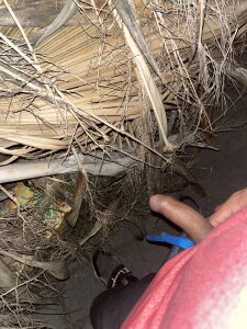 Feder97 Public Pic 4