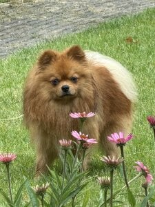 CurvyKimmy1 Love bug 사진 5