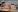 Dante_bre ❤️Fur, pleasure and looks that burn Immagine  2