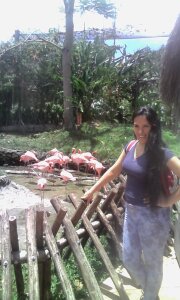 JJMHJFCG Public Εικόνα 4