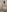 sukhakunis1 I love it when you fuck me in the shower Pic 6