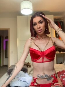 OnyxTransgenal Public зображення 3