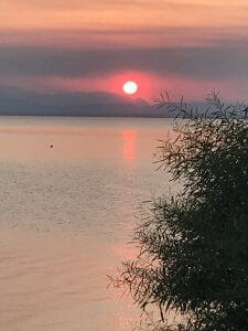 comokalii Public 사진 3