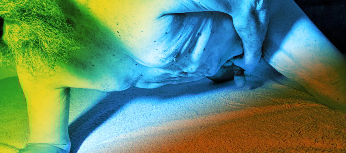 Uncle_Hottie adlı kullanıcının viral fotoğrafları:  120