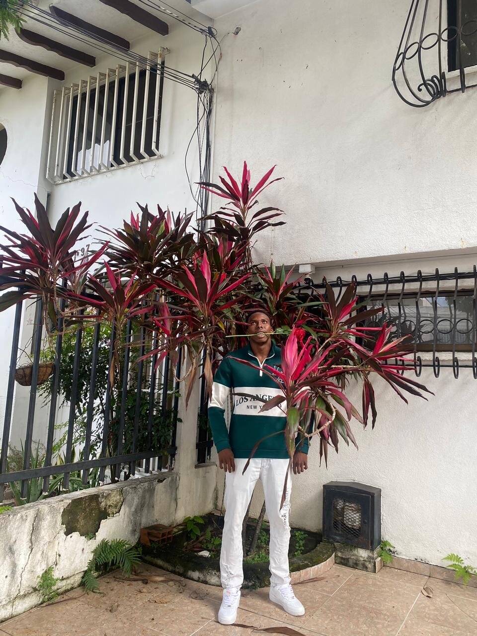 mike_aly Populära bilder 7273