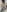 LISA_BULLOCK_ Pussy pussy 🔥🔥 Photo 7