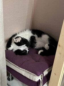 Zdjęcia alicefloww Quiet company:  9