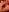 Spandana_Sweety EROTIC DARK STOCKINGS Pic 5