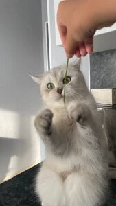 LisaSmiths Rest with my family Pic 6