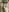 _Margot__SEXY Y HOT GIRL🔥👿🥵照片 4