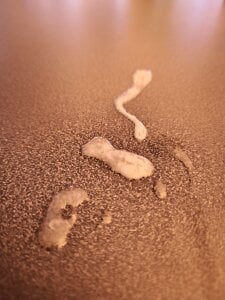 Mr_Gspt Receiving صورة واحدة|Mr_Gspt Receiving صورتان|Mr_Gspt Receiving  2 صور|Mr_Gspt Receiving  2 صورة