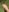 smoothkissx F33t 🦶🏻 Foto