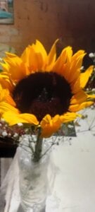 JBSandMON Couple👩‍❤️‍💋‍  👨 Pic 6