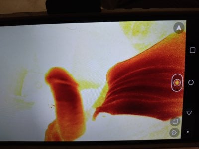 lilpervt D PEES Hình 7