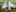 _Soo_dreamy_Elf's Feet on a Mossy Tree图片 5