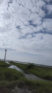 Riyansh_mehta Public Pic 3