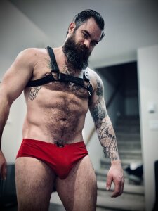 pedrohesh Bulge Pic 2