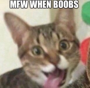 So_audrey memes! Pic 4