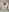 BlueHOT-MILf Intimate photo Pic 5