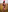 Georgis_ Naked rabbit in the field🐰🔥 Pic 5
