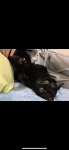 onimakuraのPublicの 5枚の写真