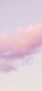 moka-neko Public Billede 4