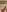 Curvy_Lacey_LeeX My feet 사진 2