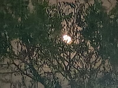 payalsharmabhabi Public Pic 3