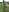 Mama_Eva_1 Naughty wet in rice farm 💦❤️ Photo 8