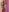 AshleySinn Rainbow on my skin Pic