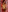 hot_dione I want to be your doll 🍆💦🧁🍒 사진 2