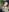 BonnyundClyde19 Leder und Spitze Pic 8