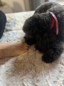 tittyfetish Public Pic 5