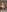 Sophiesinxx: NUDESSS & lots of them! ( 5 фото)