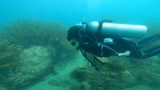 lorna_cox_bdsm Open water diving Pic 8