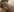 anli5 Nudes Pic 5