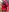 jessicaravageLittle Red Riding Hood照片 3