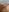 Layla_UKNaughty pics照片 4