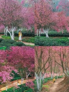 Eva_Meo Do you want to go with me? It's really beautiful. Fotka 3