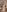 TUNDEROSE1 new naked pics Pic