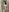 Fortune_888 In shower Photo 8