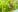 BellaKarla very horny In nature Pic