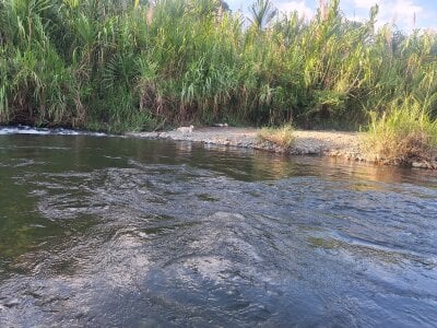 Amun_obsidian River day :) Pic 6