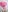 Curly_Moon ~ Eva with love Photo 8