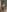 LIZA_SHAY_PORNSTAR For you Pic